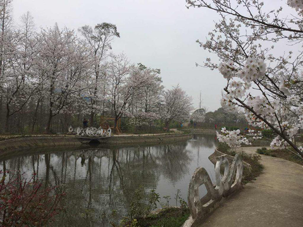 潛江百花島 荊楚快樂園 拓展基地