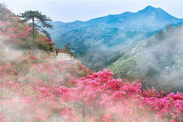 武漢黃陂區云霧山拓展基地