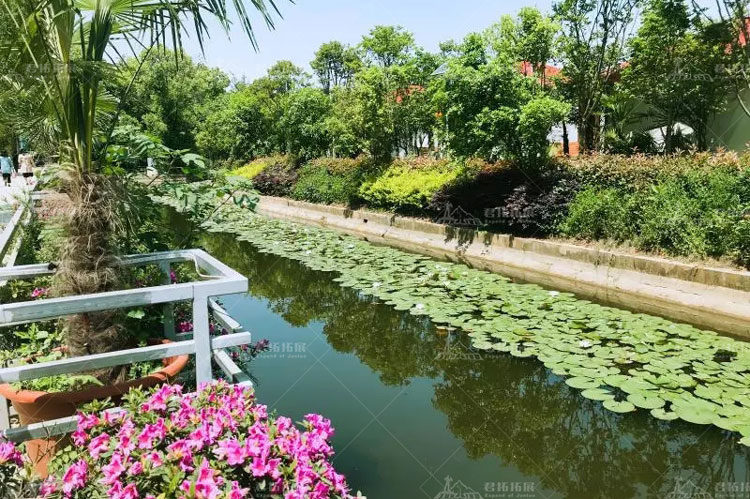 江夏和平農莊拓展基地